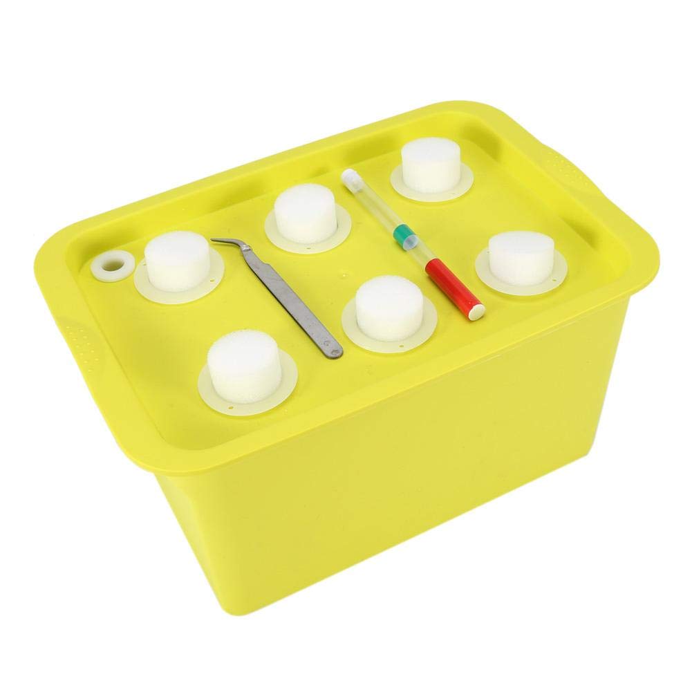 Hüdroponiline kasvatamiskomplekt