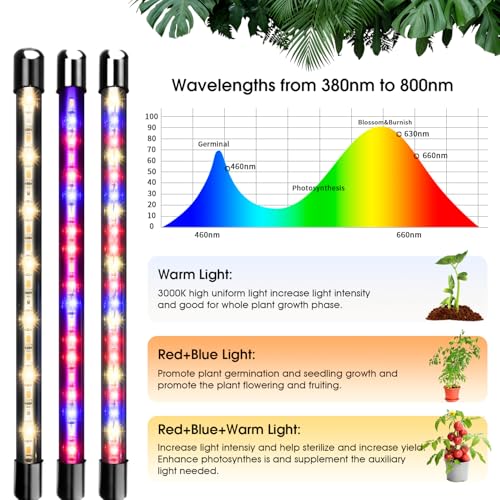 wolezek LED taimelamp