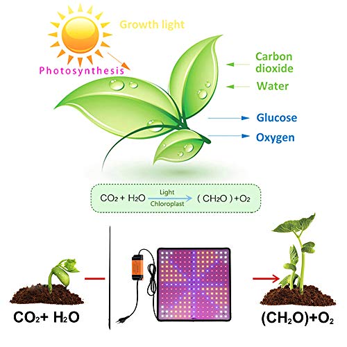 Fyeme LED taimekasvatuslamp 45W täisspektriga taimevalgusti toataimedele