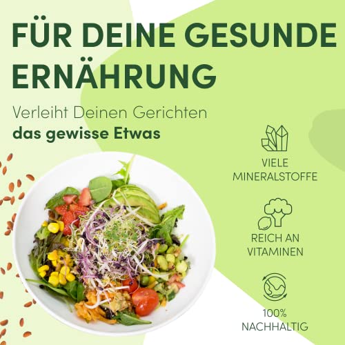 Green SEEDS® [Originaalne idandamisnõu 2-osaline komplekt + KRESSISÕEL + 1000 ml kvaliteetse roostevabast terasest restkaane