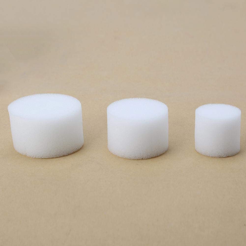 DEWIN hüdropooniline käsn – mullavaba taimekasvatus