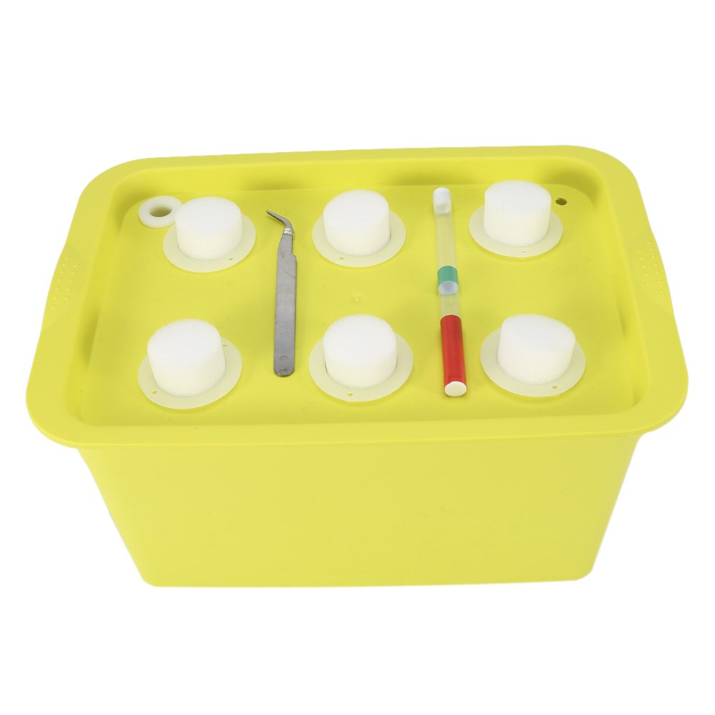 Zerodis hüdropooniline istutuspott taimekasvu konteiner 6 auguga sise- ja välistingimustes (Roheline)