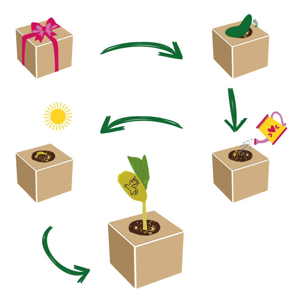 Feel Green 296725 Kasvata Oma Ükssarvikuboon