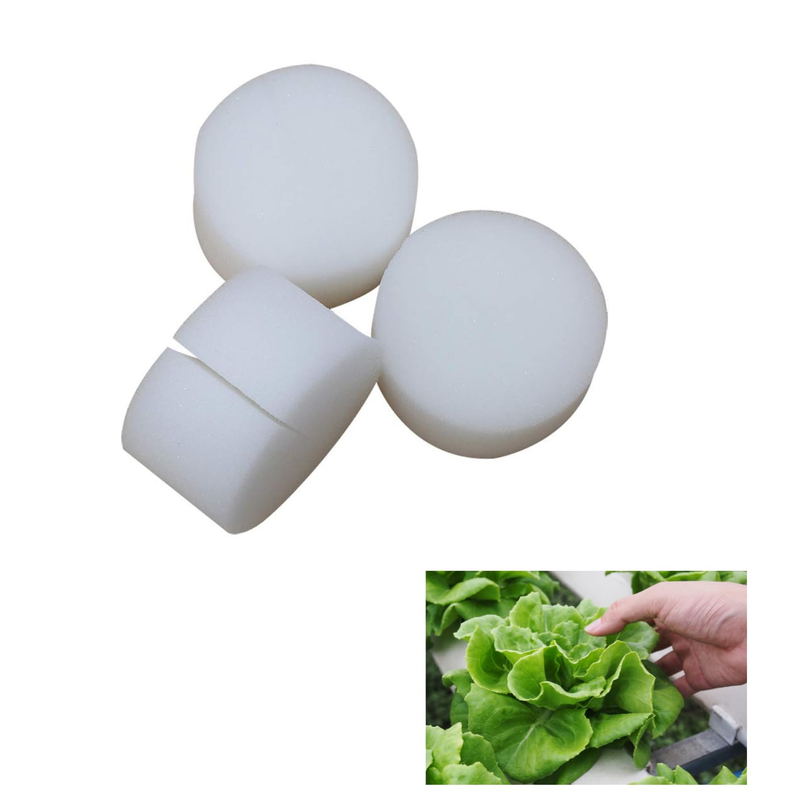 DEWIN hüdropooniline käsn – mullavaba taimekasvatus