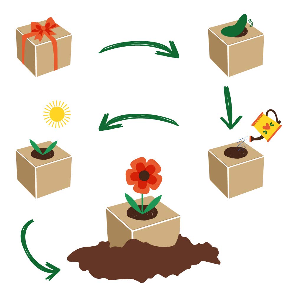 Feel Green 296725 Kasvata Oma Ükssarvikuboon