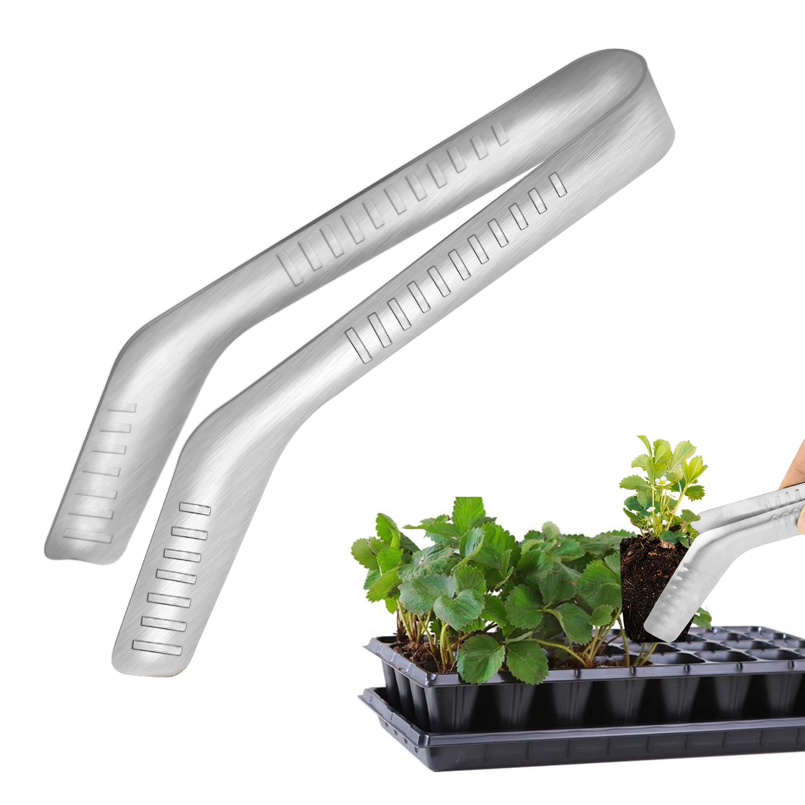 1 x Roostevabast Terasest Istikute Istutustangid – Säsiistutaja