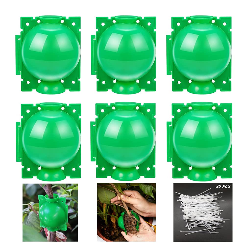 HAIZHINA õhukihtkapslid