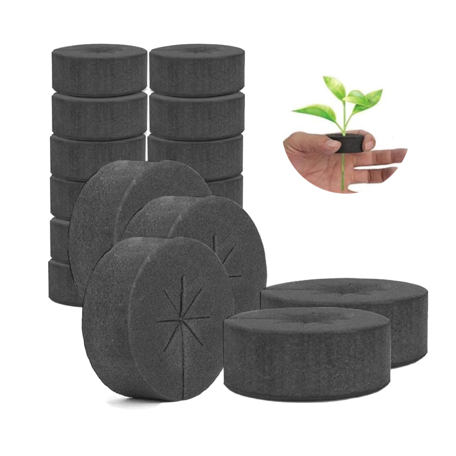 Reicyfang 50 tk klonimiskaeluse sisetükid – premium-klassi vaht