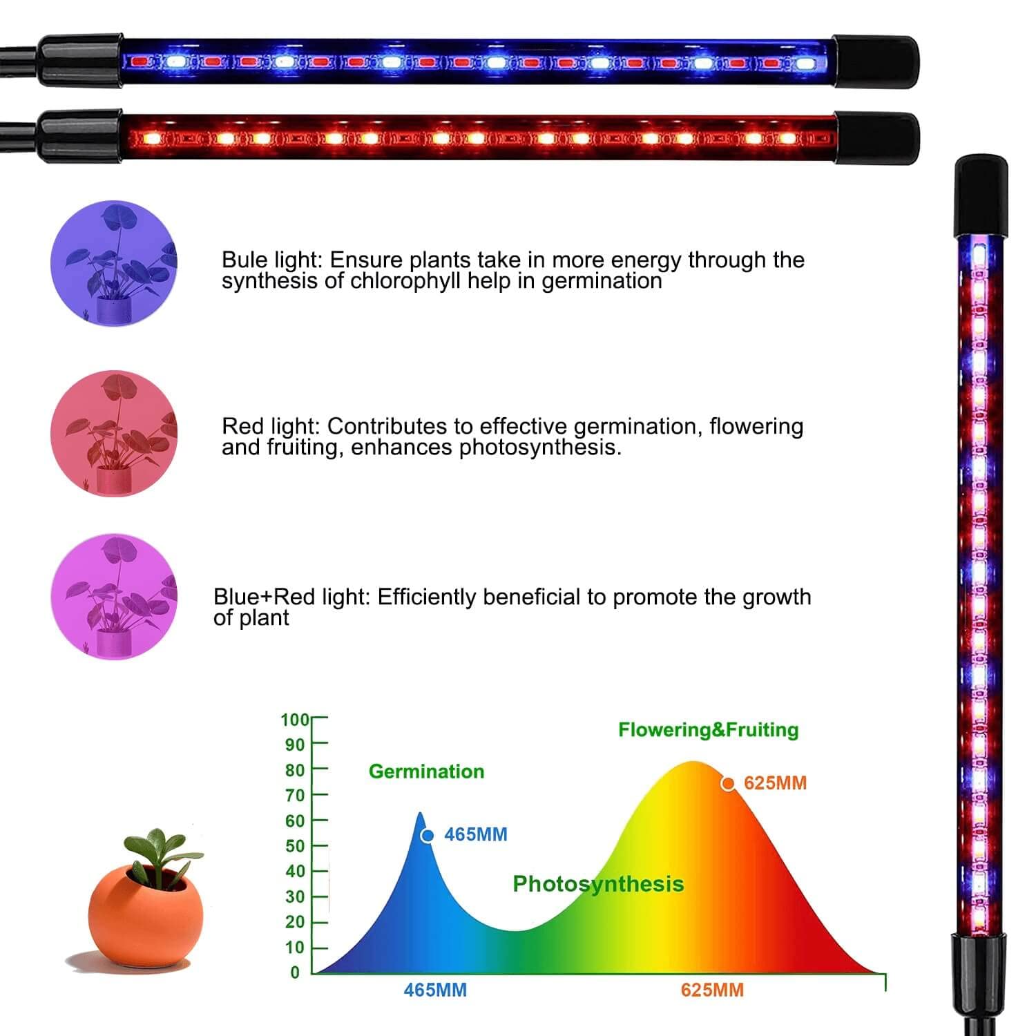 JINHONGTO LED-taimelamp