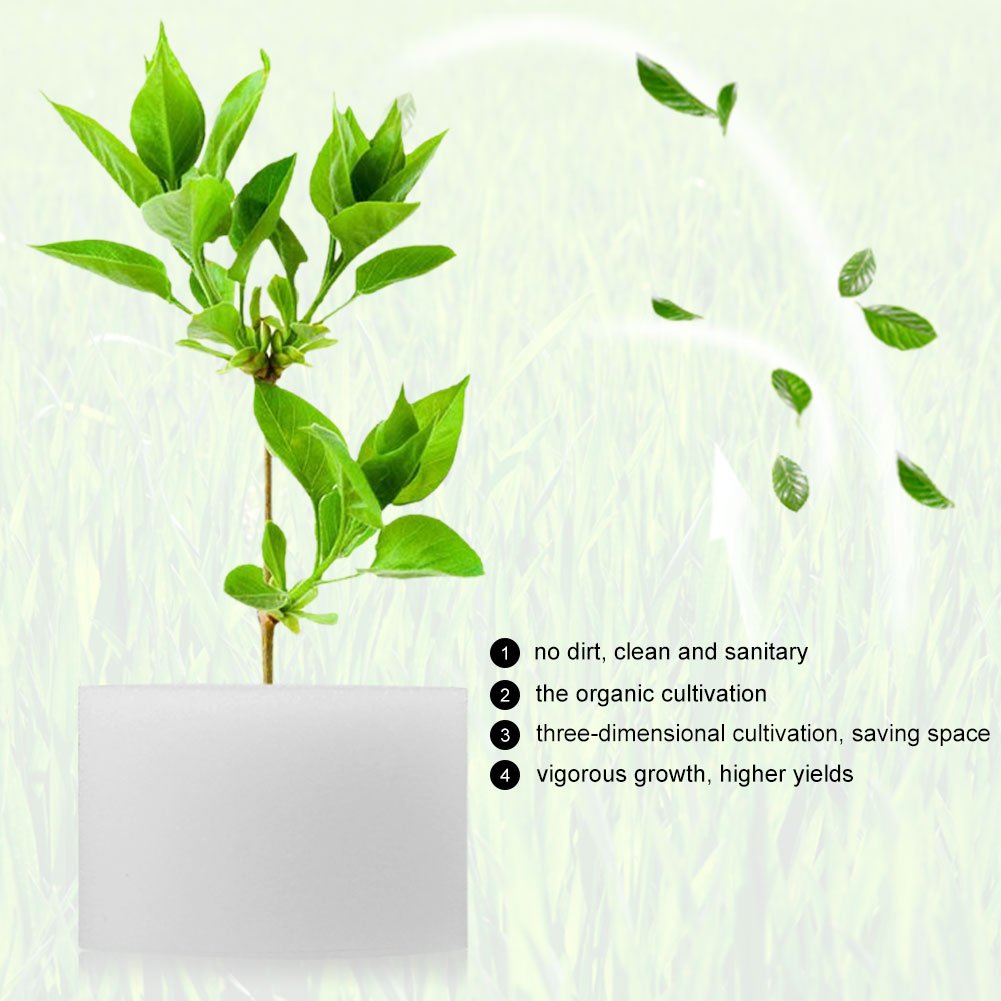 DEWIN hüdropooniline käsn – mullavaba taimekasvatus