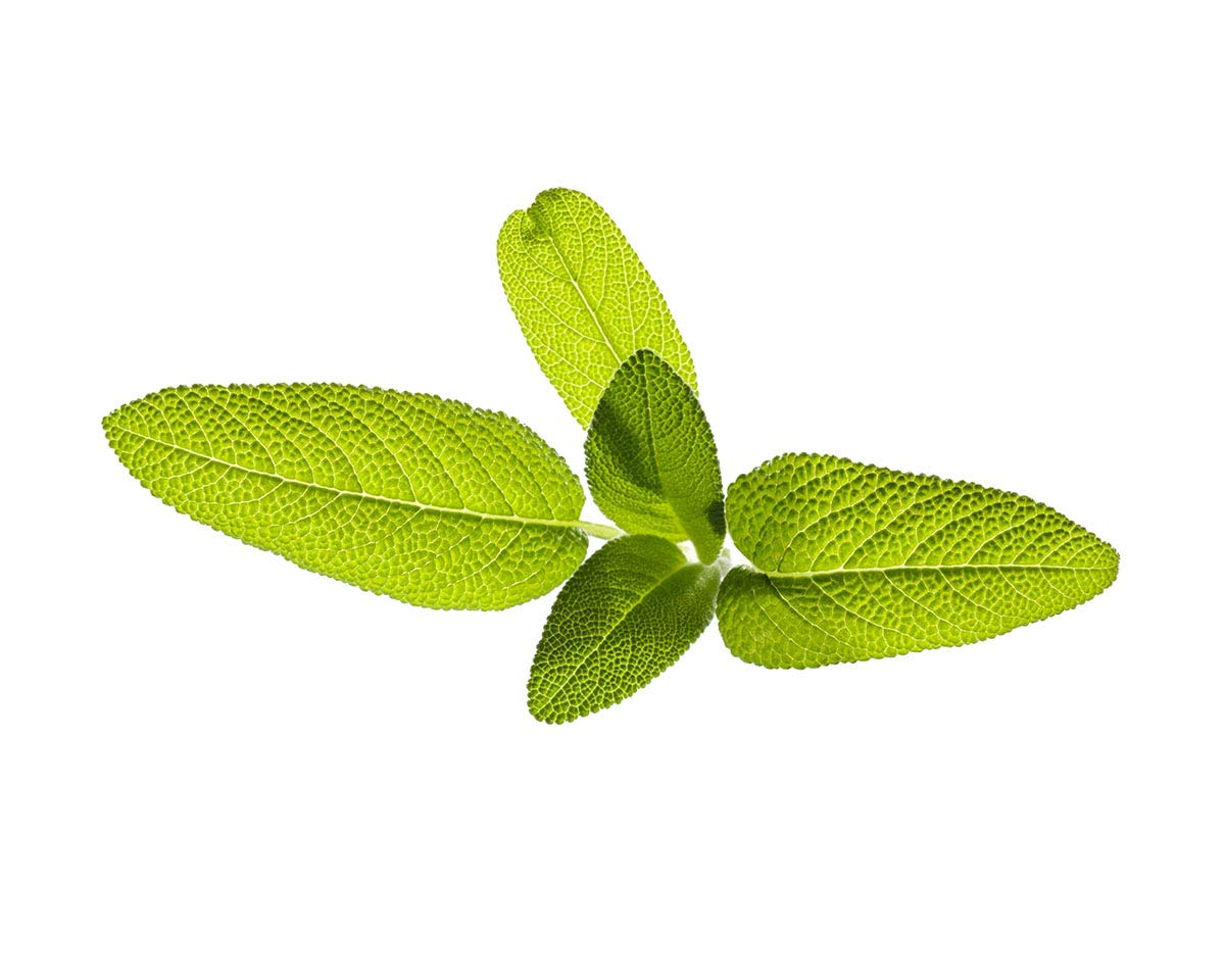 Kolmekordne salvei täitepakend Smart Gardenile – Click and Grow