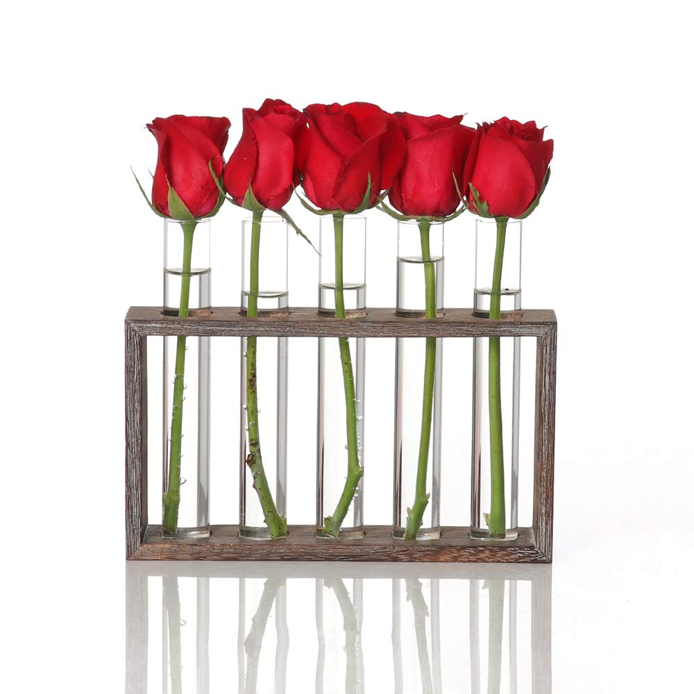 EylKoi taime paljundamise jaam lauapinnale