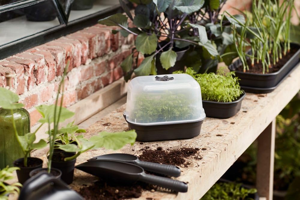 elho Green Basics Taimede Kasvatamise Komplekt - Istikute Kast - 100% taaskasutatud plastik - Roheline/Leheroheline