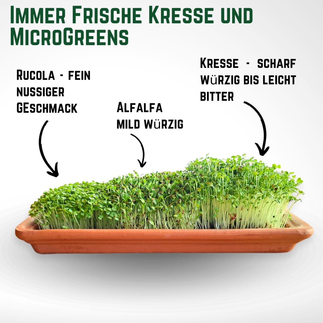 Green Mageo Family 31cm Kressi kasvatamiskomplekt – 1 tükk pere kressikasvatusalus koos maxi pakkide kressi