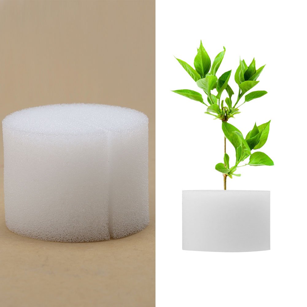 DEWIN hüdropooniline käsn – mullavaba taimekasvatus