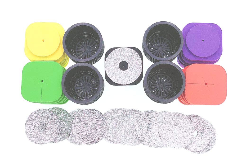 2-kihilised kloneerimiskaelused 5