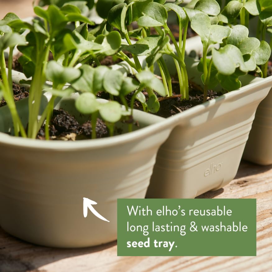 elho Green Basics Taimede Kasvatamise Komplekt - Istikute Kast - 100% taaskasutatud plastik - Roheline/Leheroheline