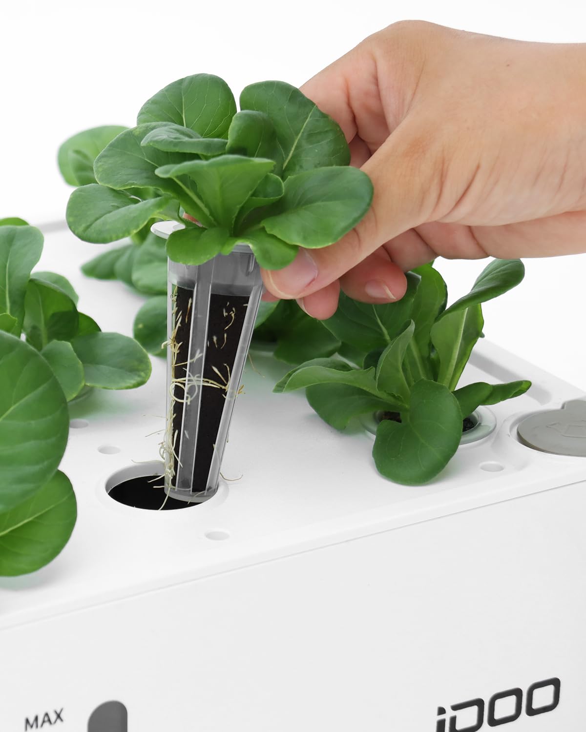 iDOO asendushüdrokultuuri kasvatustarvikud – 12 kasvukäsna