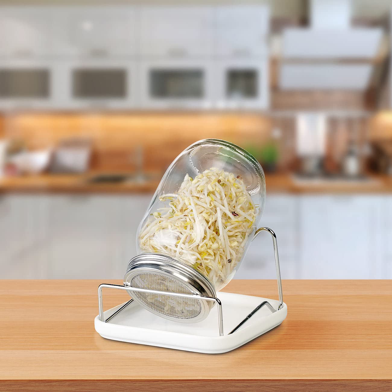 Royal Gardineer idandamisnõud