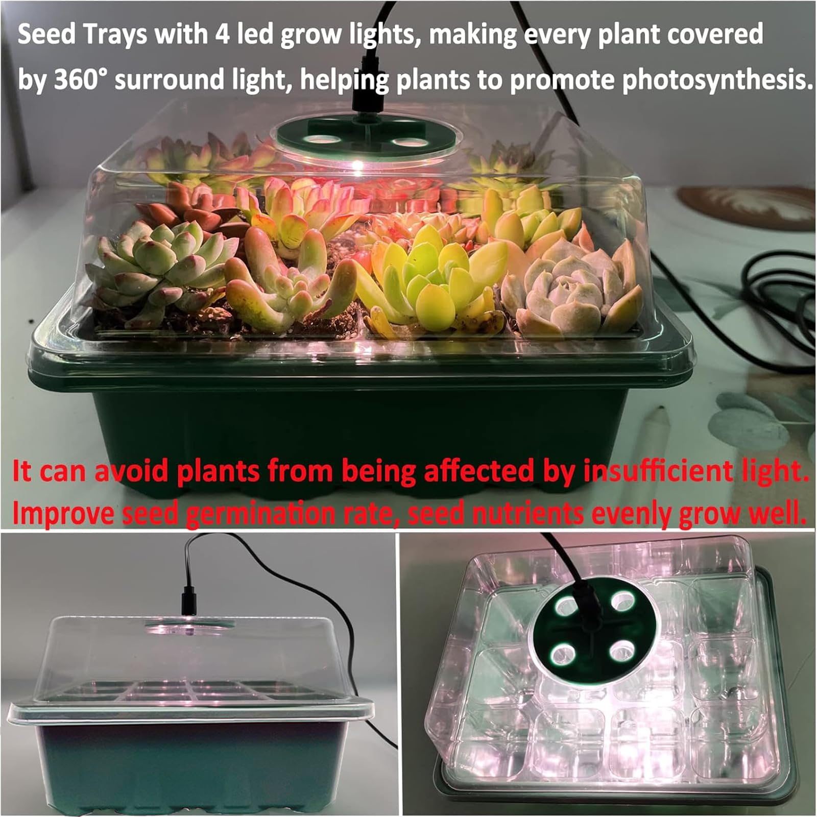 Mini kasvuhoone valgusega