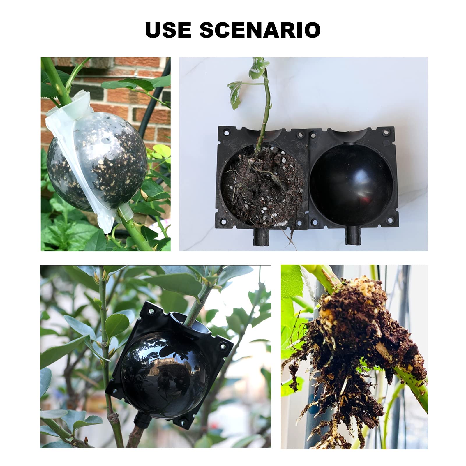 UOIENRT 10-osaline õhukiht-paljunduskomplekt