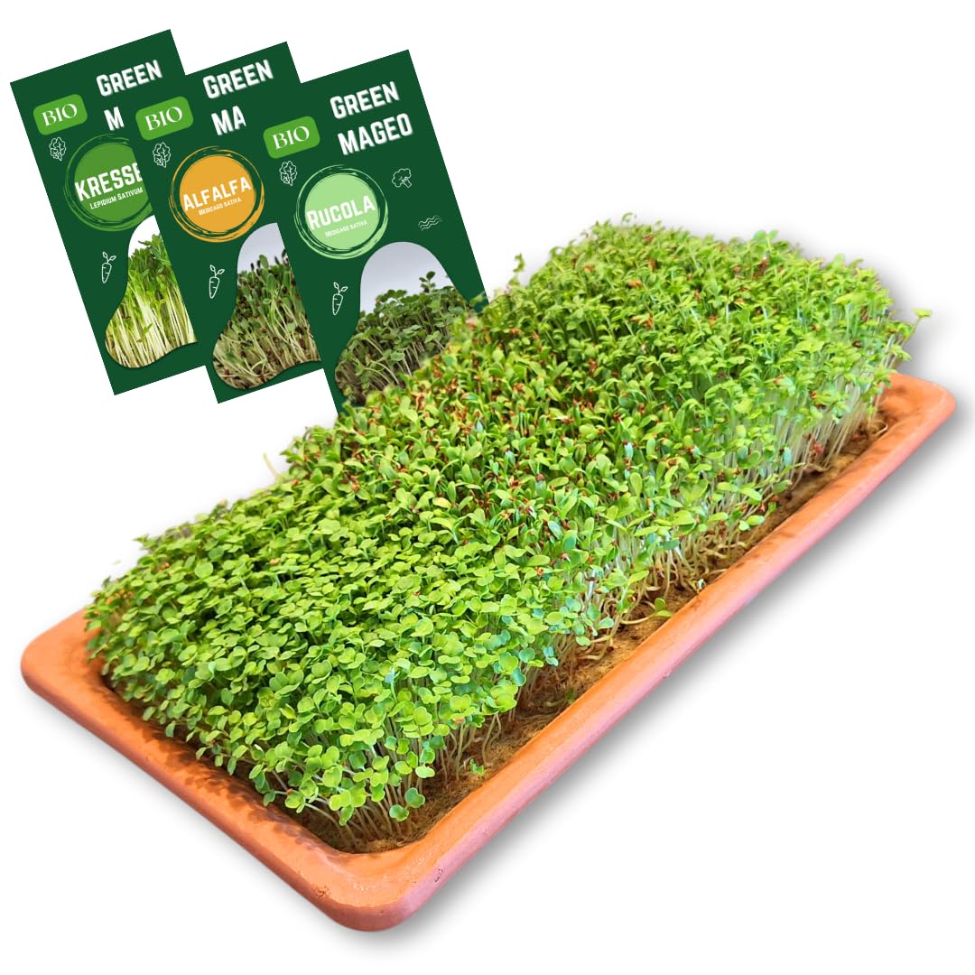 Green Mageo Family 31cm Kressi kasvatamiskomplekt – 1 tükk pere kressikasvatusalus koos maxi pakkide kressi