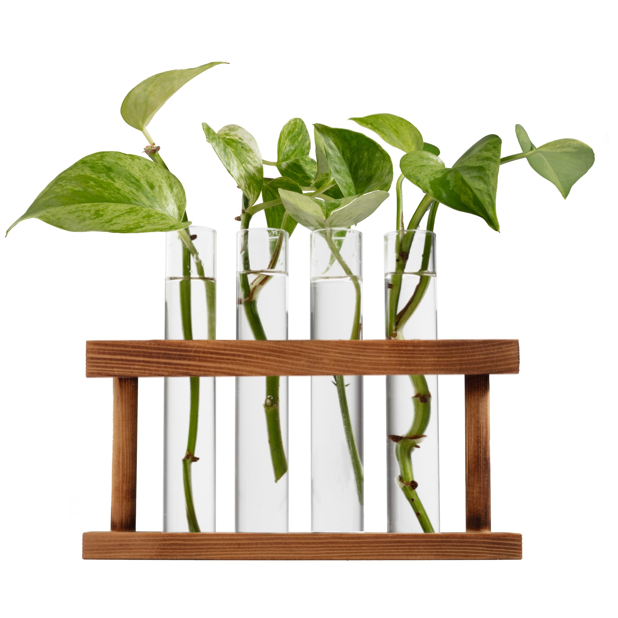 D'Eco klaasist taimekasvatuse jaam (4 toruga komplekt puidust alusega) – hüdrokultuuri jälgimine ja taimede kasvatamine