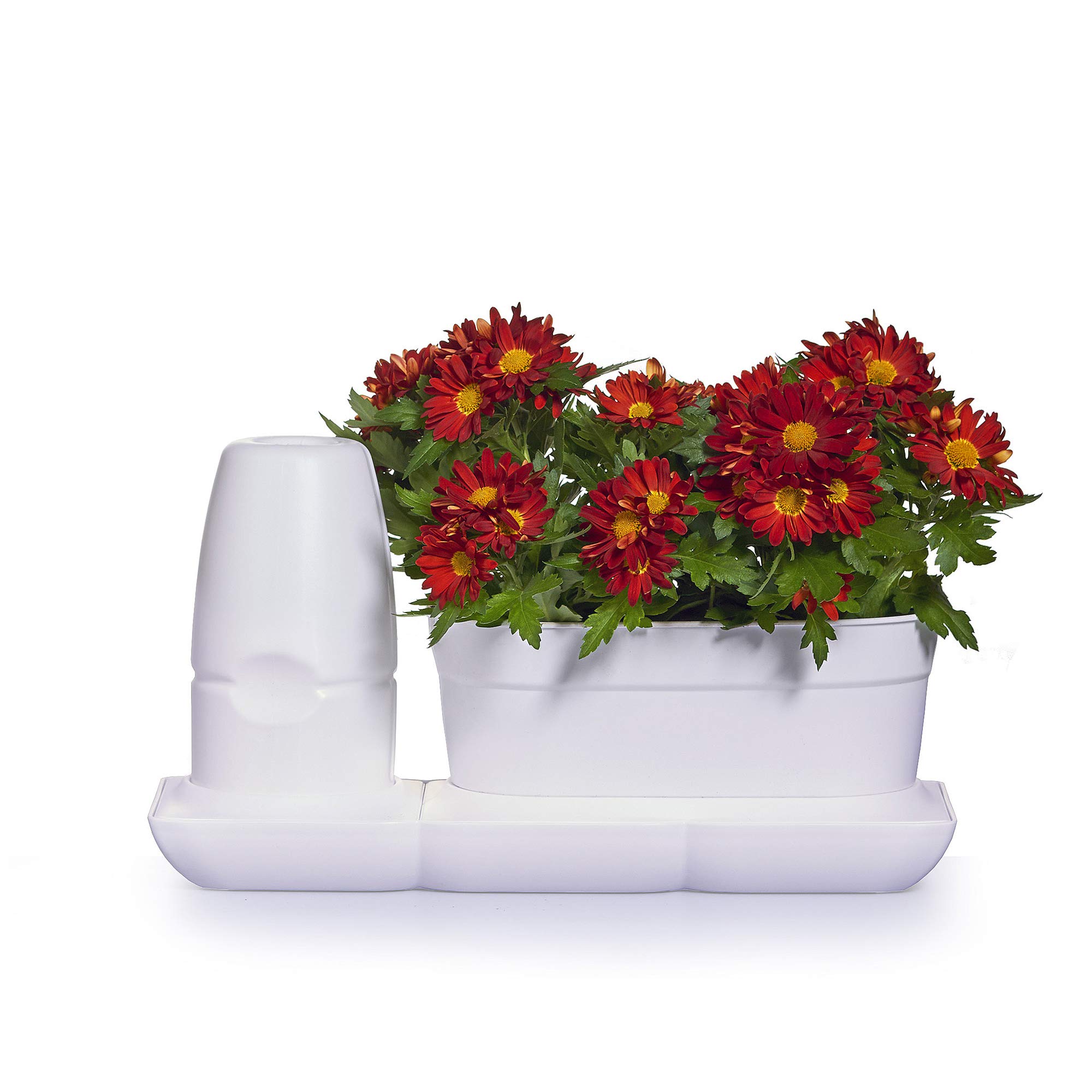 Minigarden Basic S UNO – uuenduslik algajate taimede hoolduskomplekt automaatse kastmis- ja väetussüsteemiga (Valge)