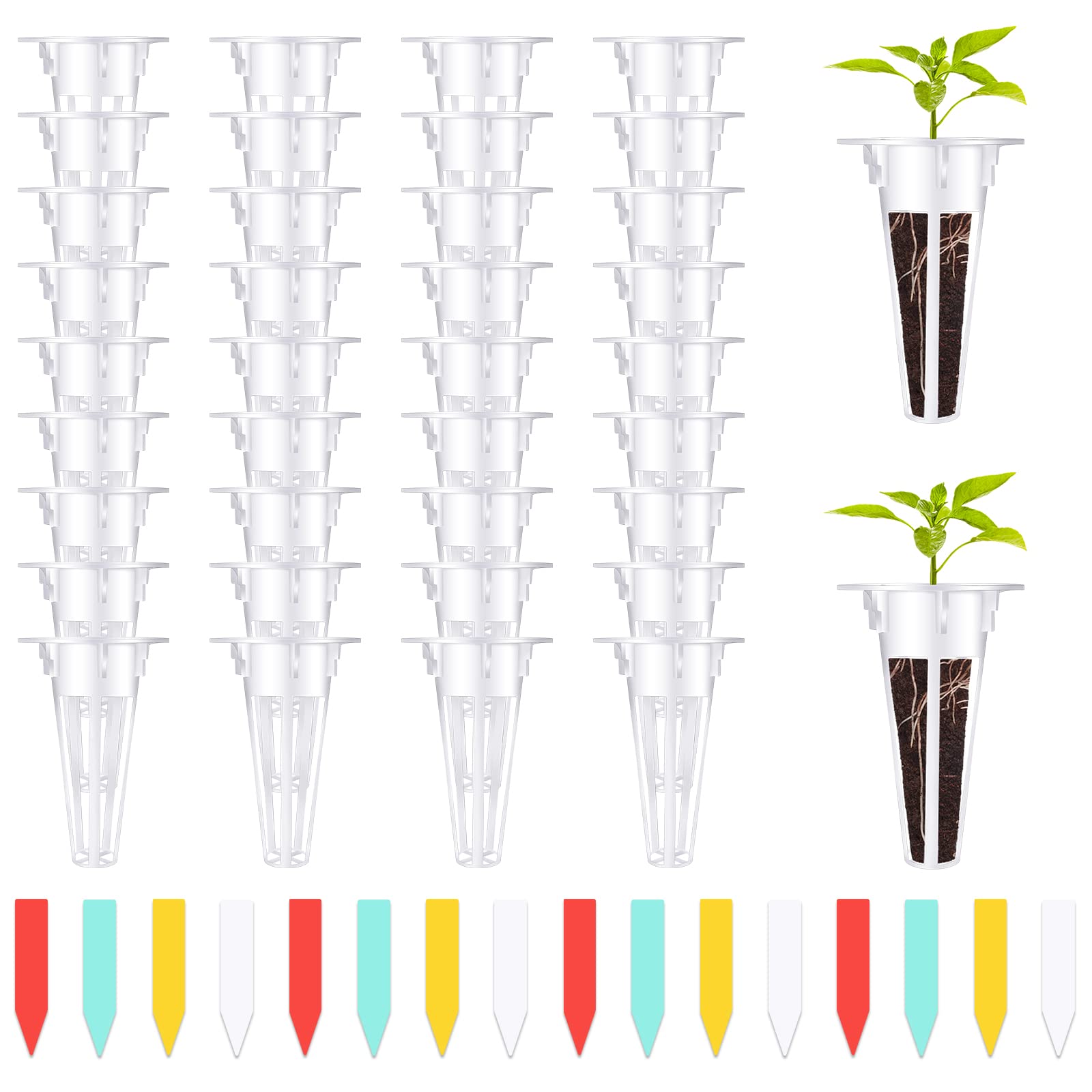 YBB 50 x taimekorvid