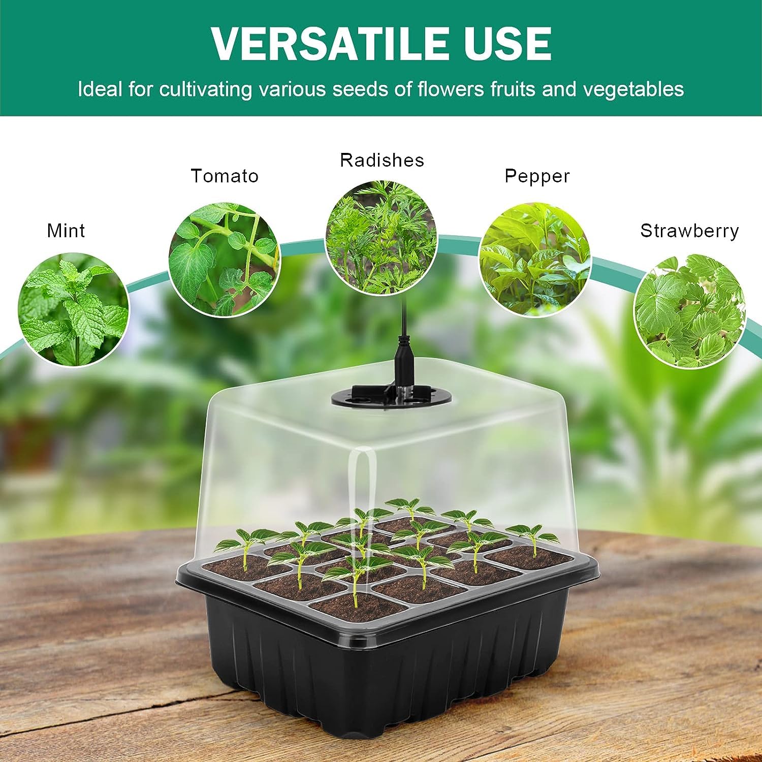 RIOGOO 4-osaline seemnete idandamise komplekt koos kasvutulega