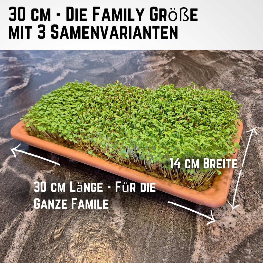 Green Mageo Family 31cm Kressi kasvatamiskomplekt – 1 tükk pere kressikasvatusalus koos maxi pakkide kressi