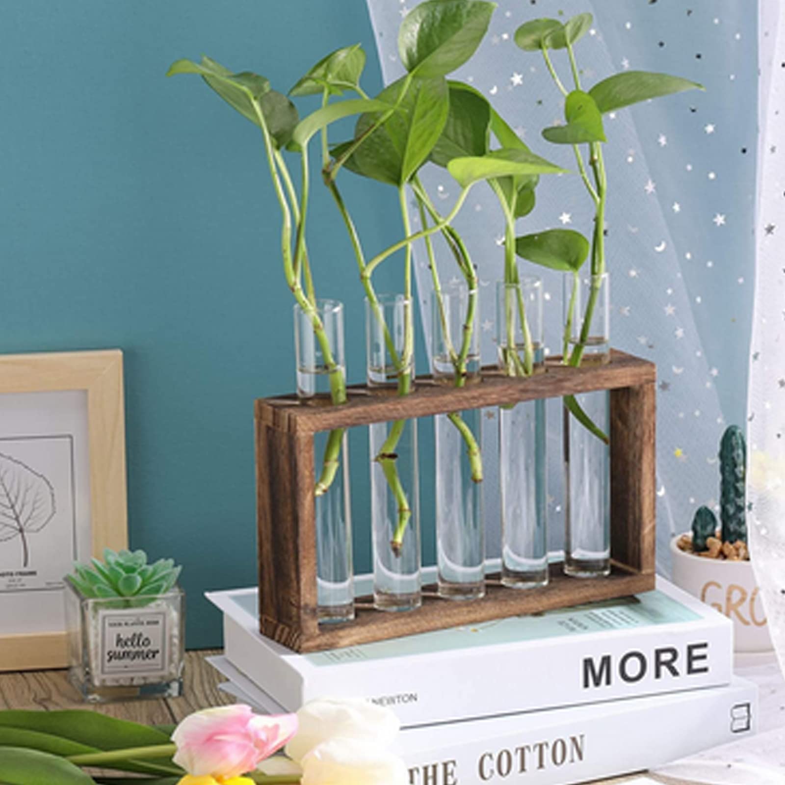 EylKoi taime paljundamise jaam lauapinnale