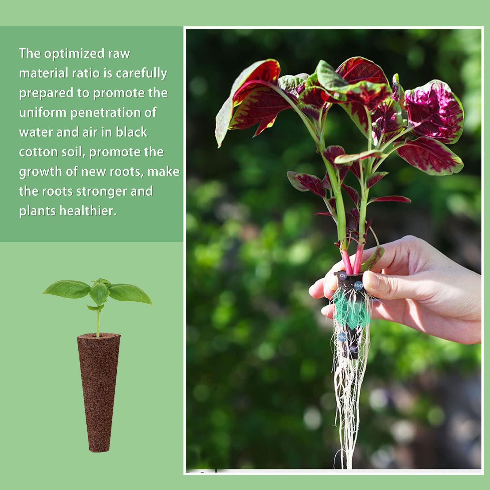 Asenduskasvusvammid AeroGardenile – 50 hüdropoonika kasvusvammi ja 50 saatekapsli etiketti