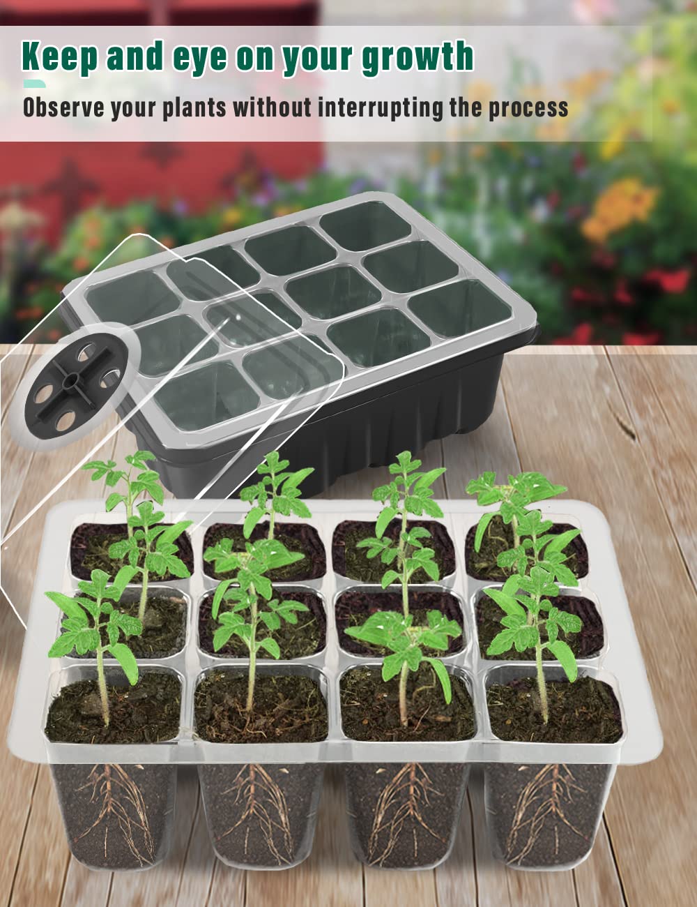 TOYPOPOR 6-osaline toakasvuhoone istikualus