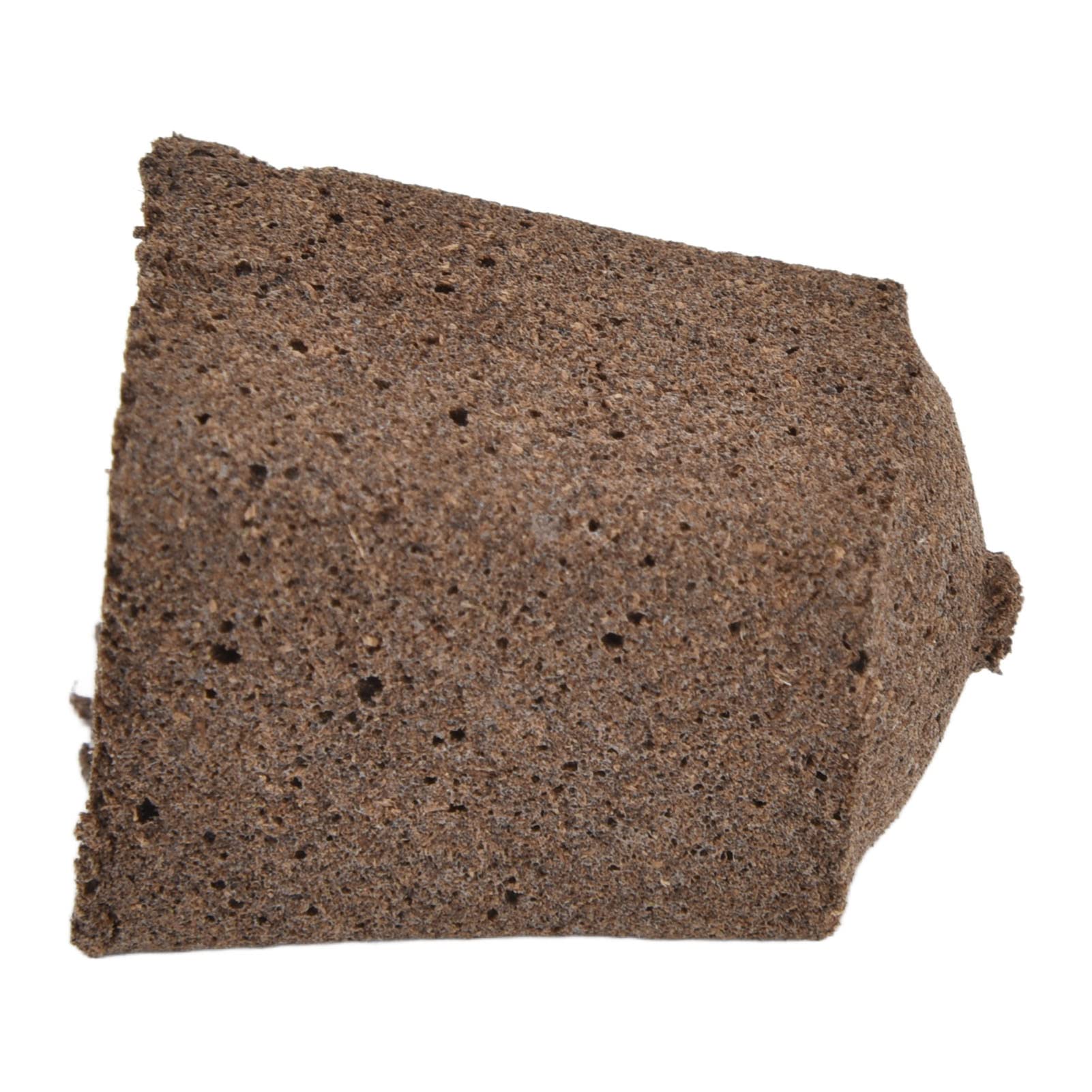 BAOFUYA 50 tk kasvutropid seemnete idandamiseks – kiired juurdumistropid sisetingimustes hüdropooniliseks kasvatamiseks