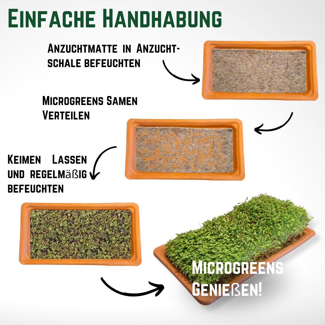 Green Mageo Family 31cm Kressi kasvatamiskomplekt – 1 tükk pere kressikasvatusalus koos maxi pakkide kressi