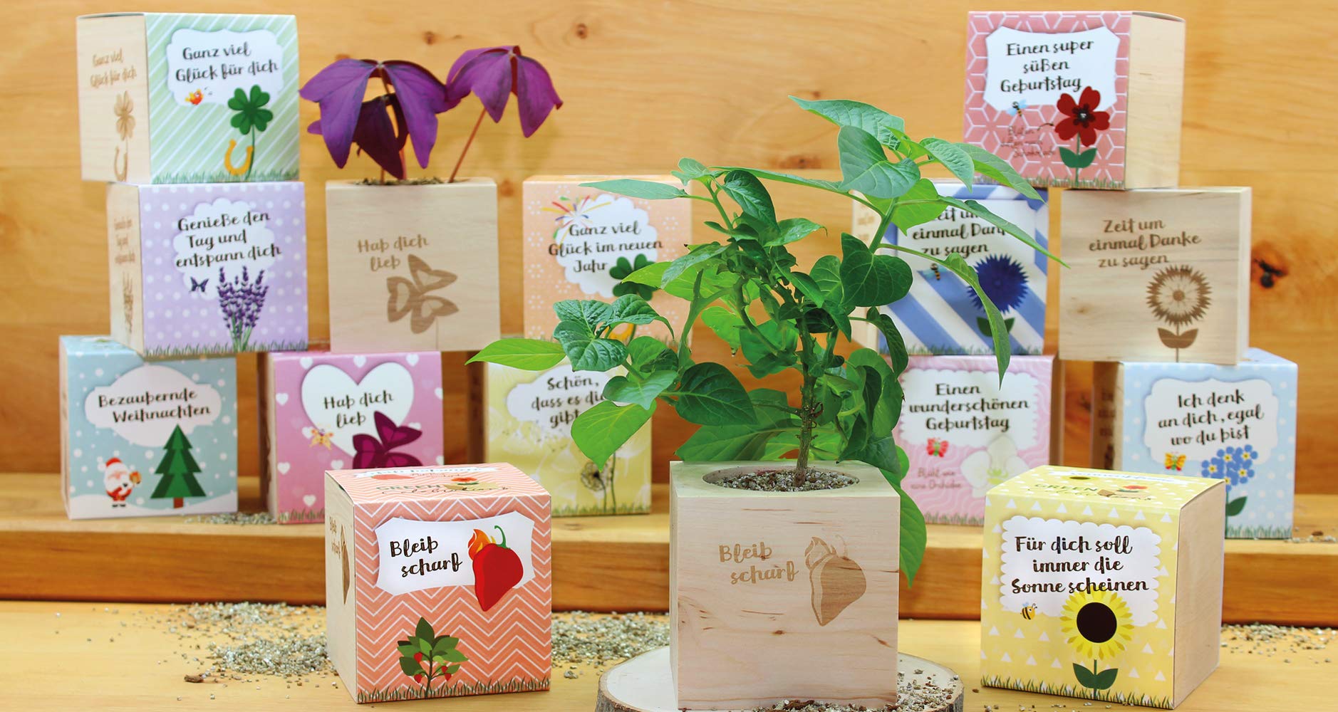 Feel Green 296725 Kasvata Oma Ükssarvikuboon