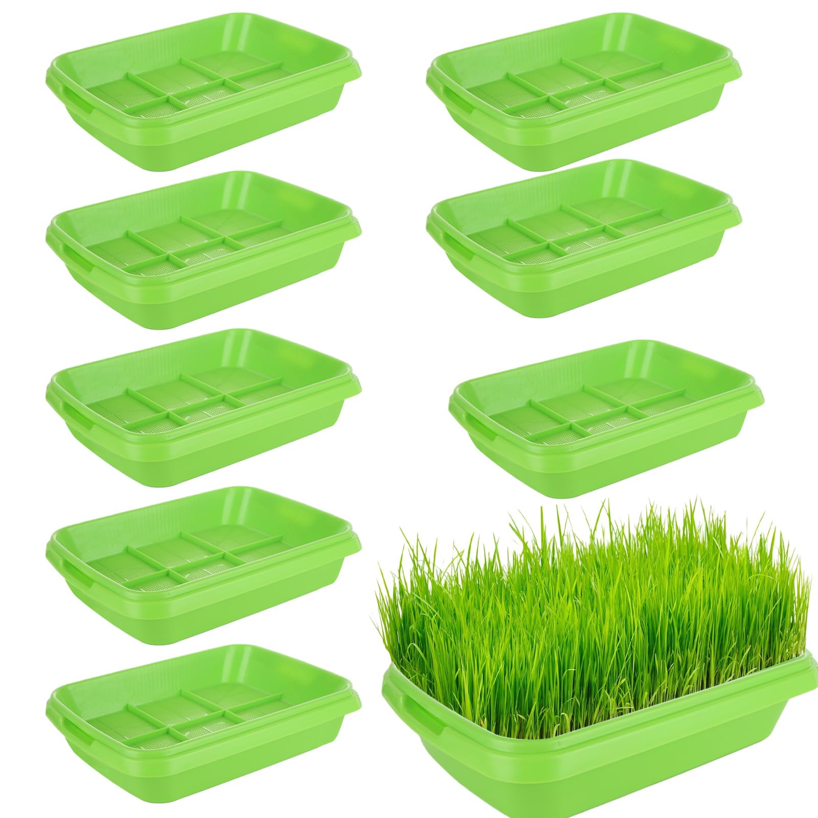 CYEER 10 tk idandamisalused võrkaianduseks