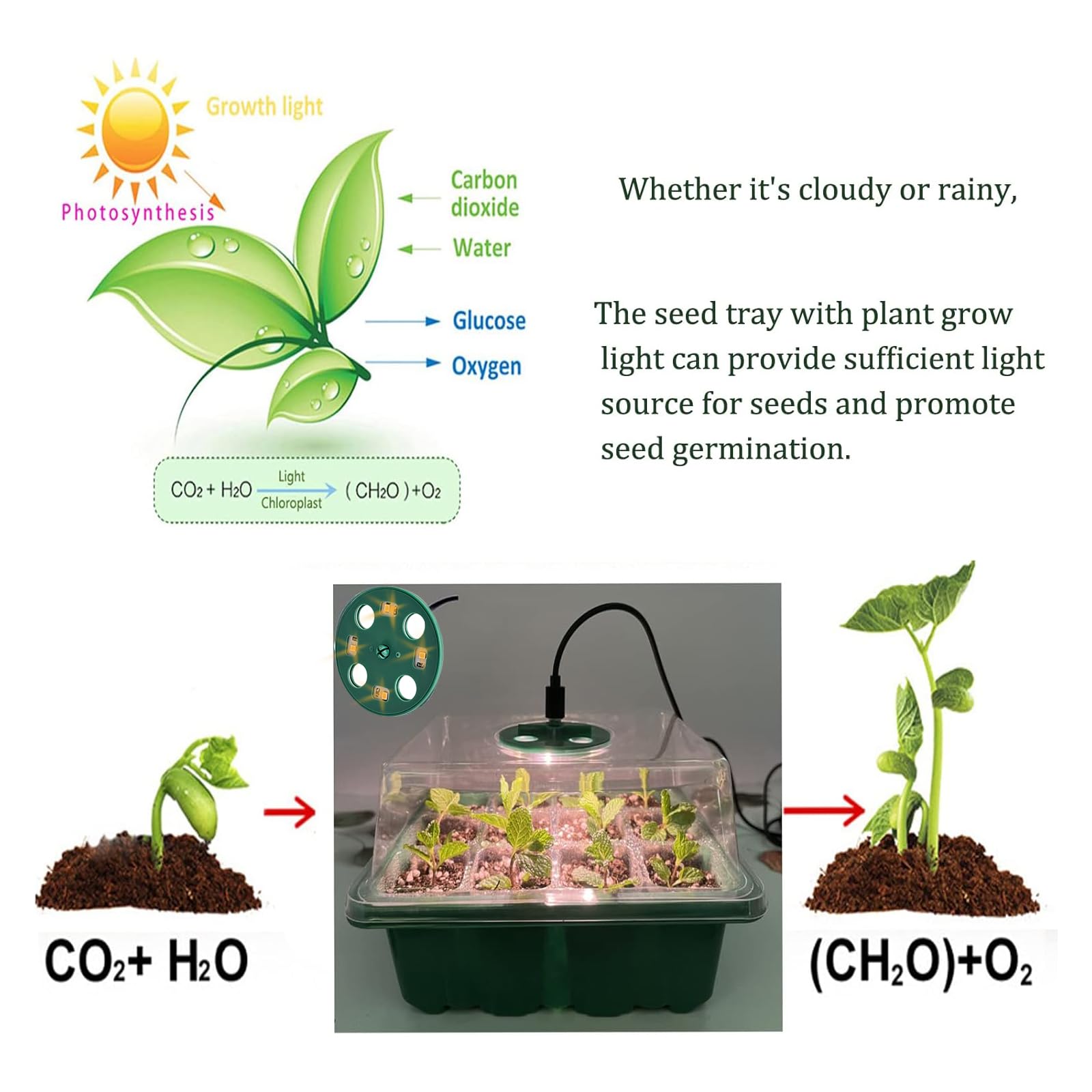 Mini kasvuhoone valgusega