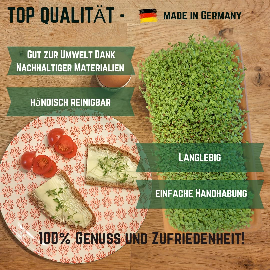 Green Mageo Family 31cm Kressi kasvatamiskomplekt – 1 tükk pere kressikasvatusalus koos maxi pakkide kressi