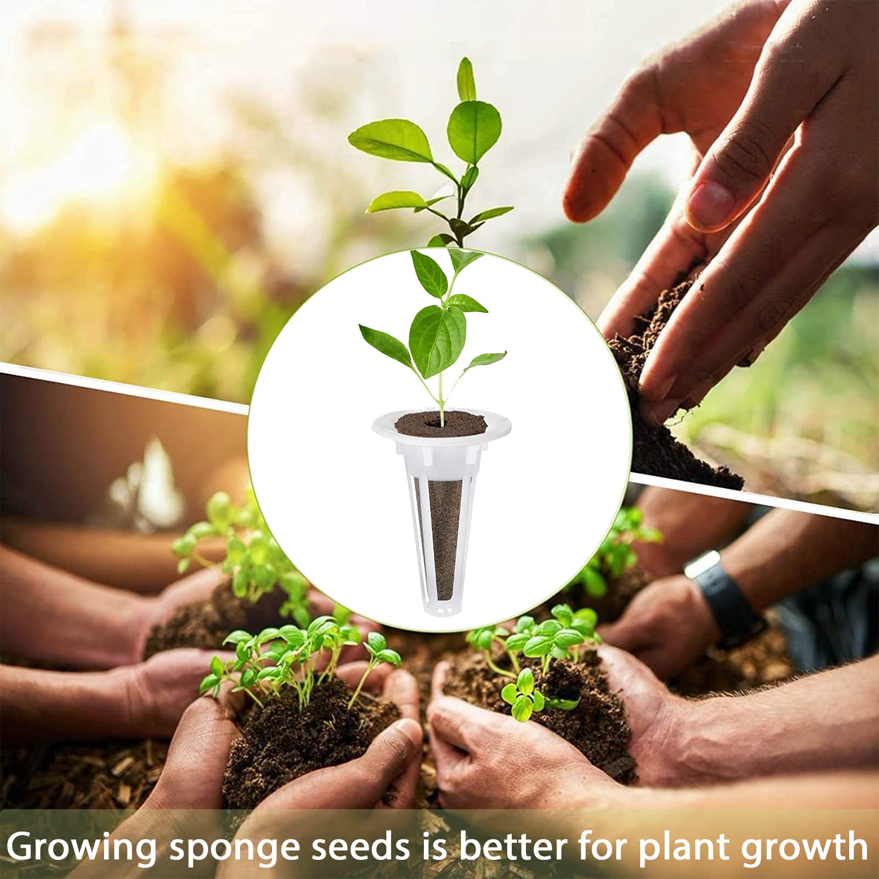 100-osaline hüdropoonika kasvatuse komplekt taimeseemnete idandamiseks – 50 kasvukäsna ja 50 seemnekorvi