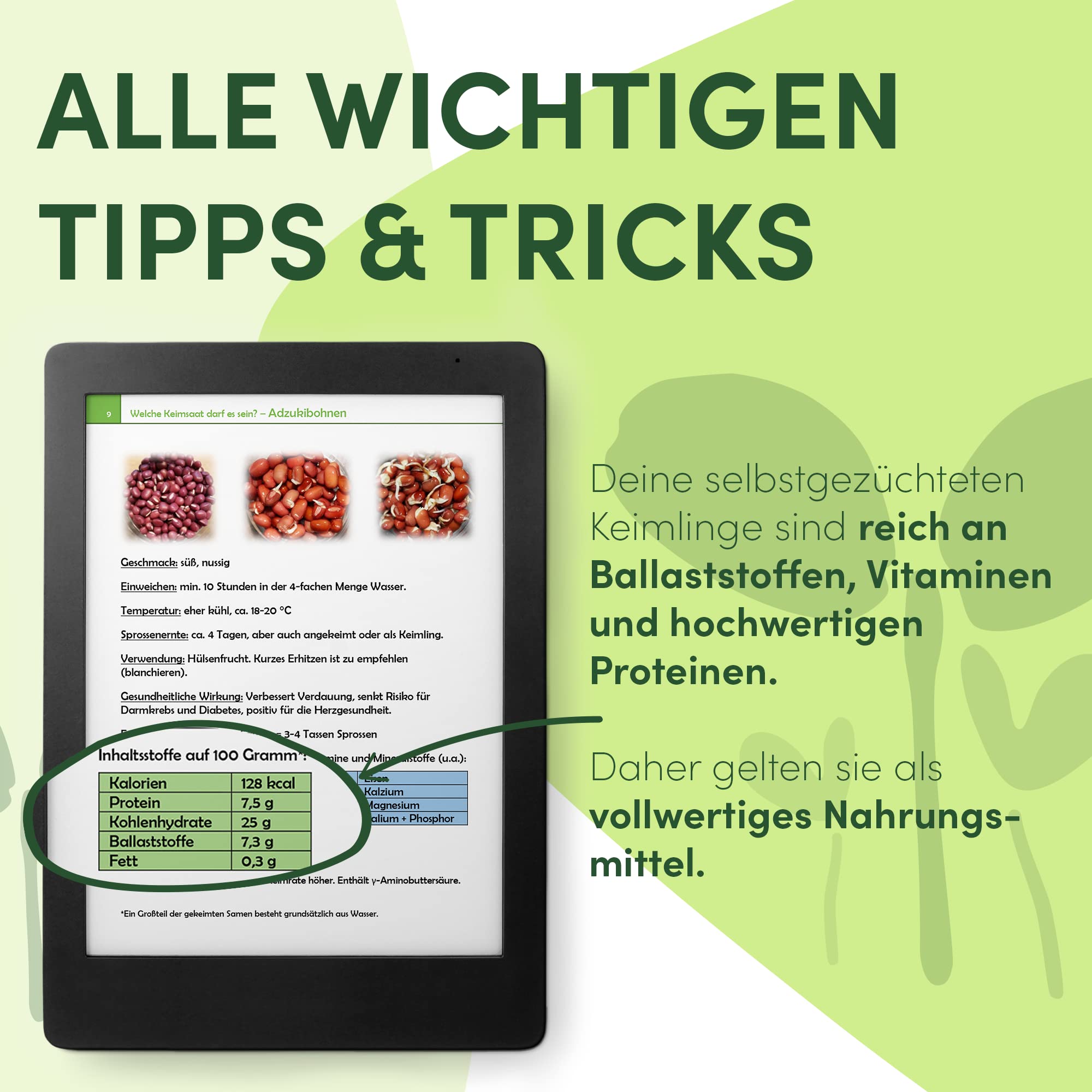 Green SEEDS® Kressisõel 1-osaline komplekt + kressi- ja redisesemned | Roostevabast terasest sõel kvaliteetse keraamilise alusega | Idandamisalus 14 x 14 cm