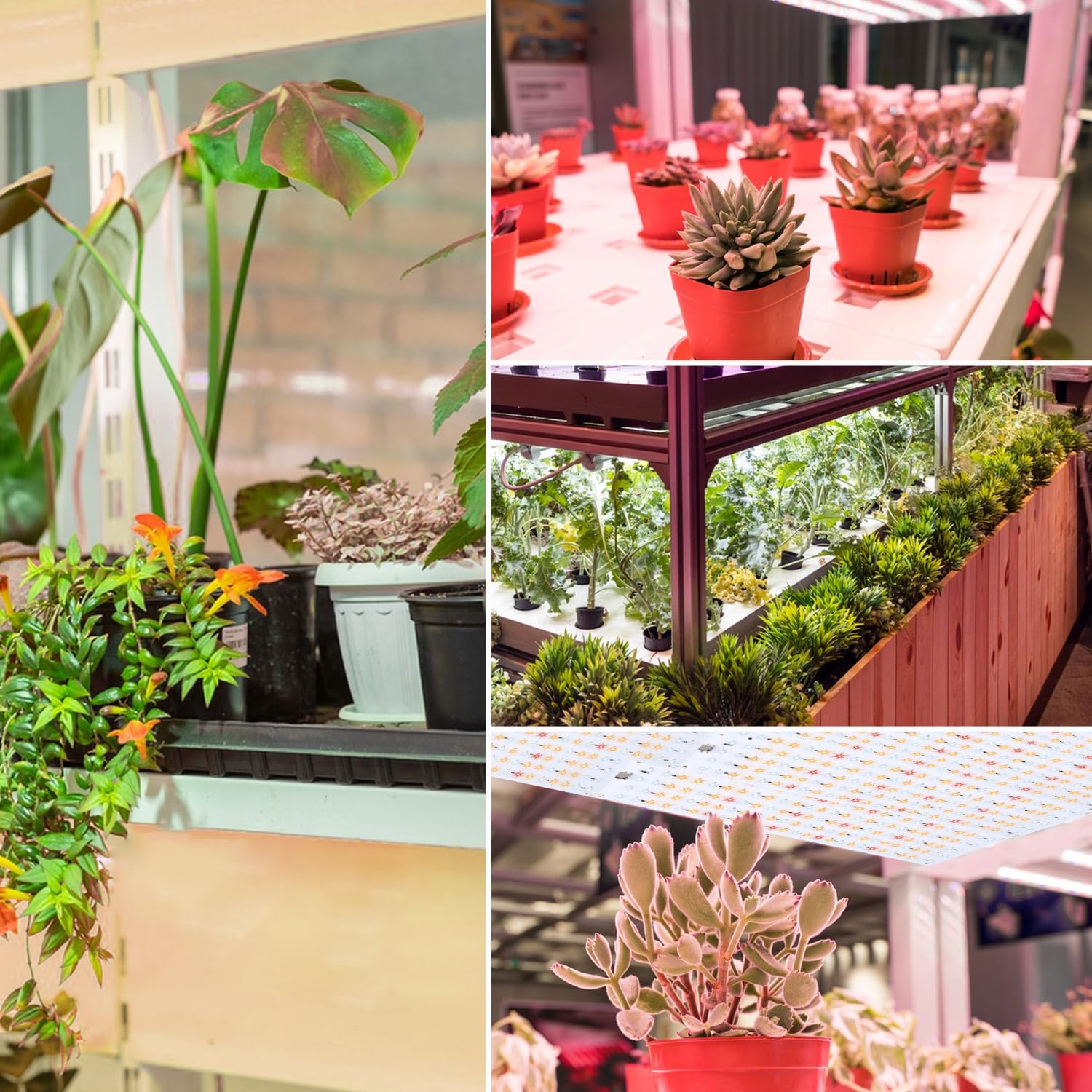 LED täisspektriga taimelamp