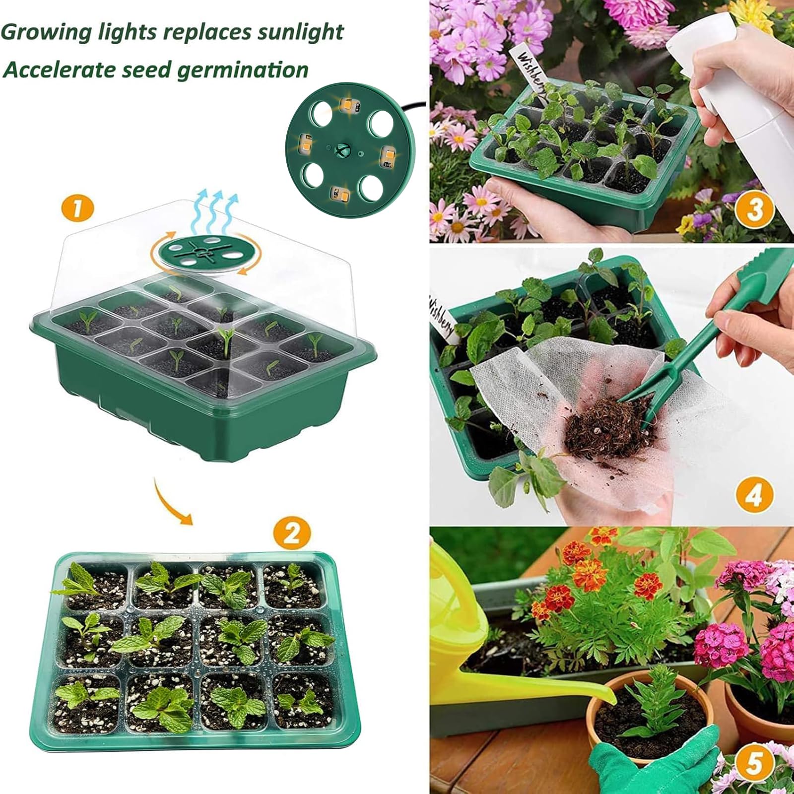 Mini kasvuhoone valgusega