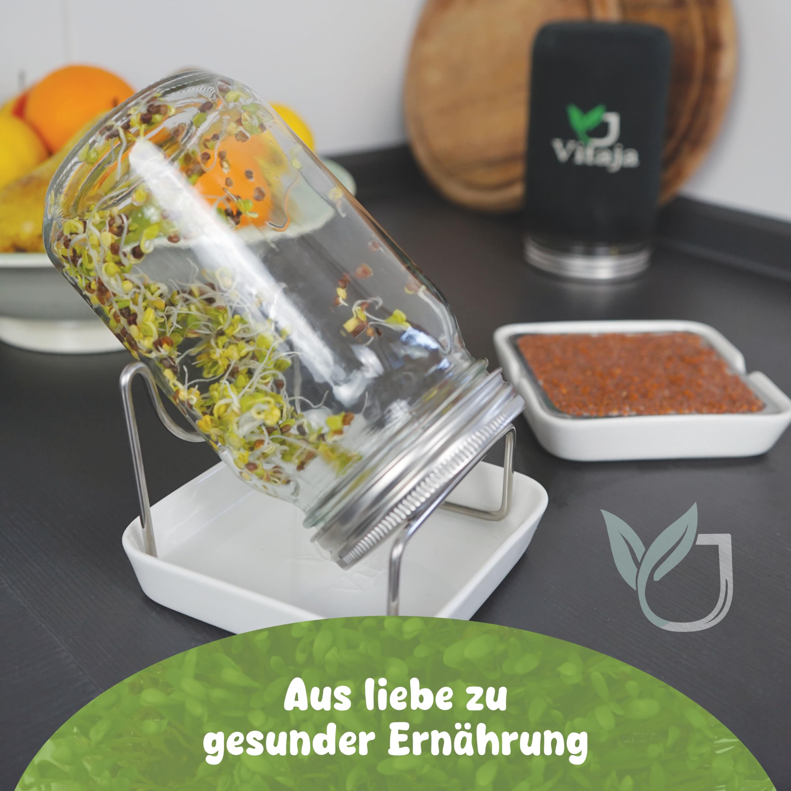 Vitaja idandamisnõude komplekt – 2-osaline komplekt idude ja mikrotaimede kasvatamiseks (koos 2x pimenduskangaga) – Idandamisnõu aknalauale – Nõudepesumasinas pestav