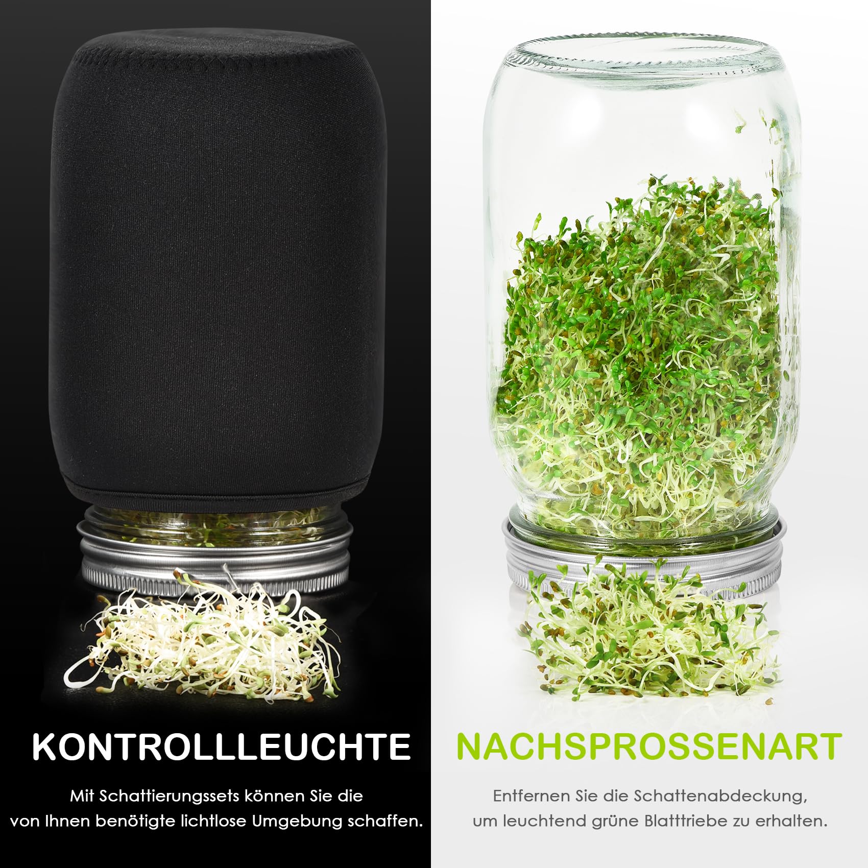 Idandamisnõude komplekt – 2 suurt idandamis- ja säilituspurki roostevabast terasest sõelfiltrite