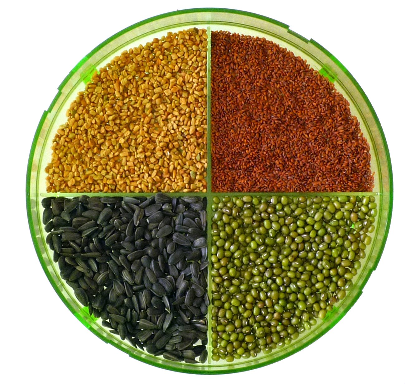 Geo TZZ0870 idandamisekomplekt Geo Plus idandamisseade