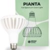 Grow Gang Pianta 18W täisspektriga LED-taimelamp toataimedele – kasvulamp sukulentidele