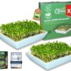 Green SEEDS® Kressesõel 2-osaline komplekt [Originaal] | Roostevabast terasest sõel ja kvaliteetne keraamiline kauss | Idandamisnõu 14 x 14 cm + Sprossen-ABC | Kressikast idandamisalus
