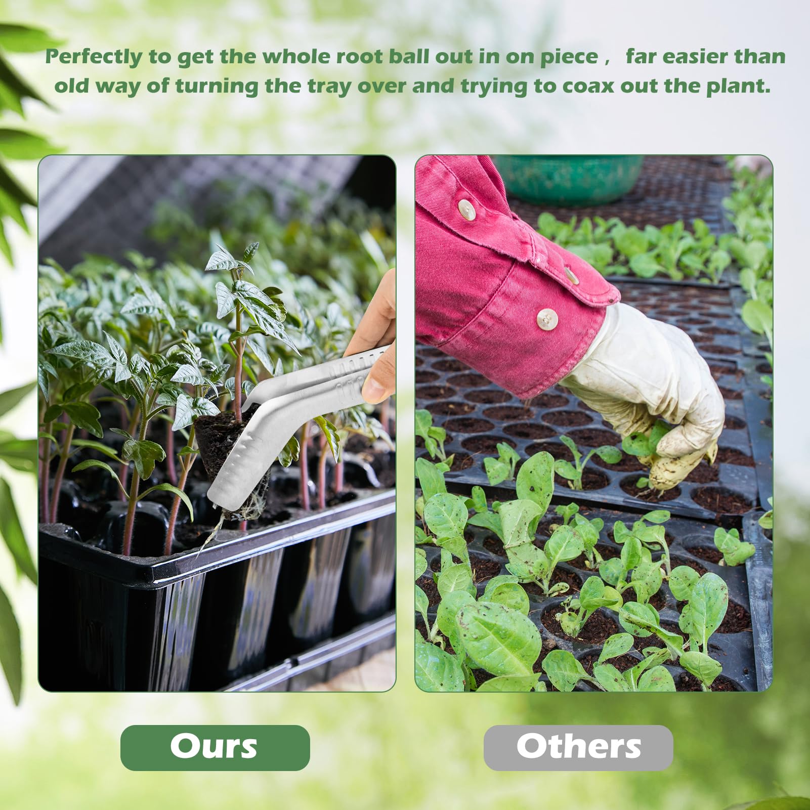 1 x Roostevabast Terasest Istikute Istutustangid – Säsiistutaja